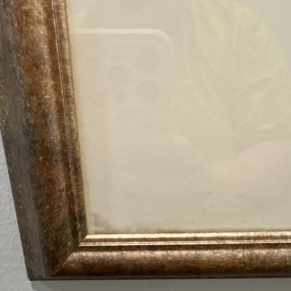 Framed Large Thomas D. Mangelsen Catch of the Day Photo Signed Art Print - Picture 3 of 16